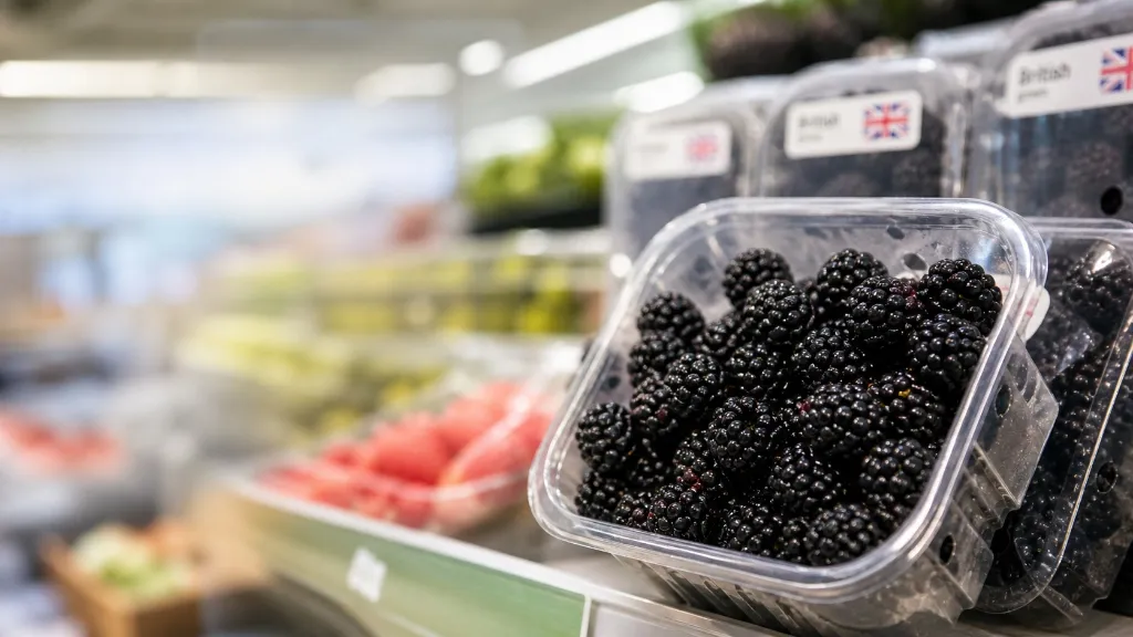A punnet of fresh British blackberries on a supermarket fruit shelf